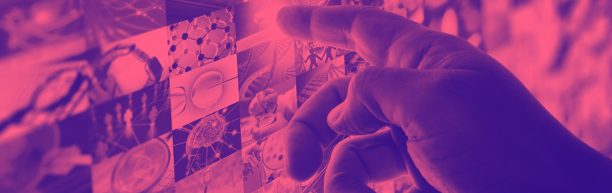 ¿Qué es Data Science? Sus diferencias con Big Data