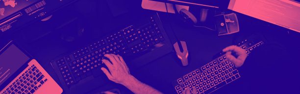 Programador Wordpress: las características