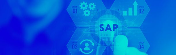 Módulos de SAP HCM: una Visión Integral